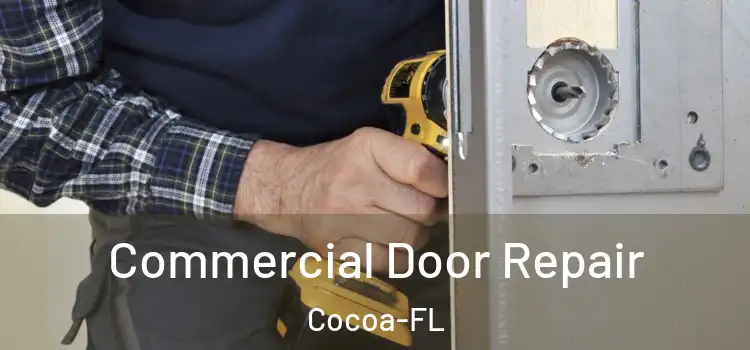  Commercial Door Repair Cocoa-FL