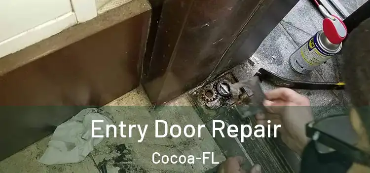  Entry Door Repair Cocoa-FL