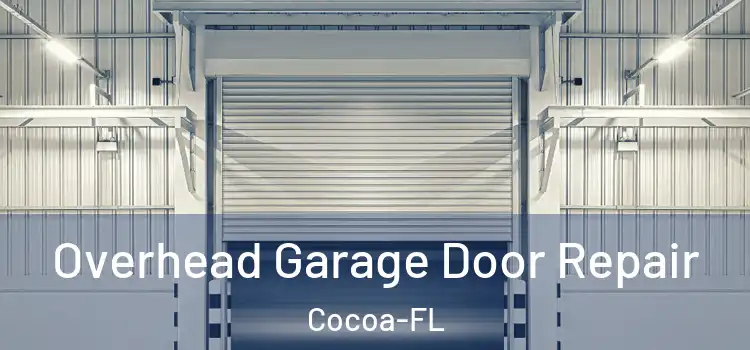  Overhead Garage Door Repair Cocoa-FL